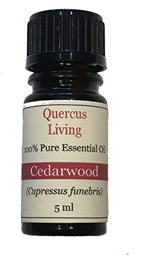 Quercus Living Fragrant Lavender Filled Large Bags and Cedarwood Hanging Rings, Lavender Essential Oil, Cedarwood Essential OIl