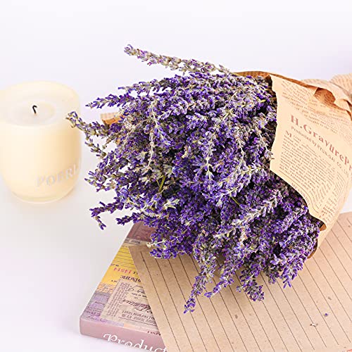 HAKACC Lavender Bundles Natural Dried Flowers Never Withered Decorative Flowers Bouquet for Wedding,Home,Office