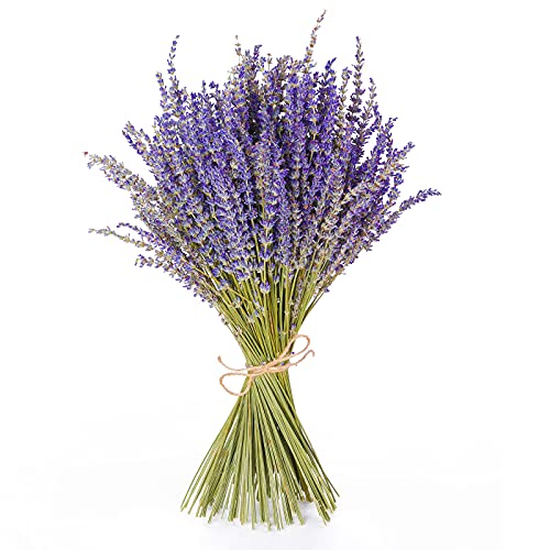 HAKACC Lavender Bundles Natural Dried Flowers Never Withered Decorative Flowers Bouquet for Wedding,Home,Office