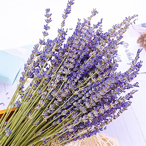 HAKACC Lavender Bundles Natural Dried Flowers Never Withered Decorative Flowers Bouquet for Wedding,Home,Office