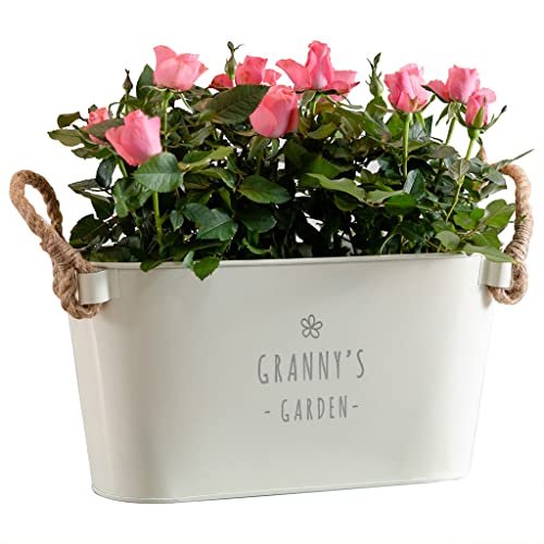 Dust and Things Engraved Flower Pot 'Granny's Garden' - Unique Indoor Outdoor Herb Planter - Birthday for Granny Gran