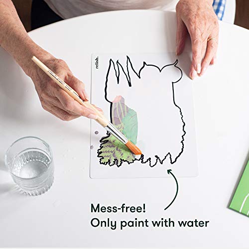 Relish - Dementia Aquapaints Activities - Pack of 5 Reusable Water Painting Toys, Garden Wonders, Alzheimer’s Products & Gifts for Elderly / Seniors