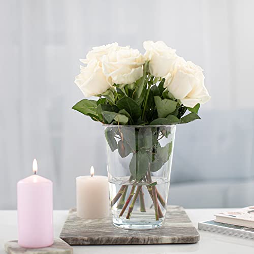 TREND FOR HOME Glass Vases for Flowers Large Glass Vase Flower Vase Glass Transparent Vase Decorations for Living Room Clear Floral Vase for Dining Table | 19.5 cm Tall | Alyssa | 1965 ml