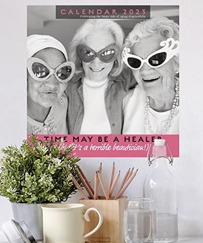 2023 Wrinklies Wit Square Hanging Wall Calendar - No Plastic - 12" x 12" Planner, Age, Elderly, Funny, Humorous, Organiser, Home, Family, Schedule, Agenda, Gift