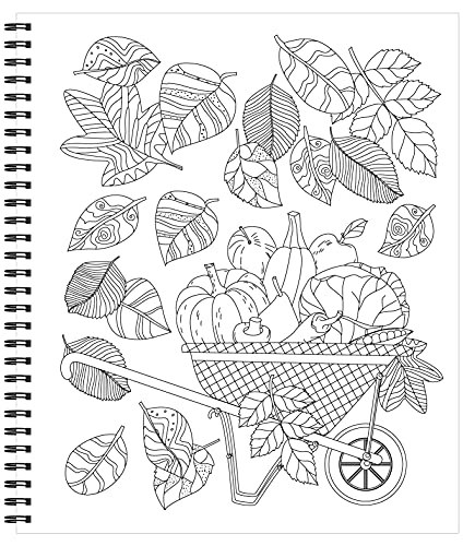 Large Print Easy Color & Frame - Garden (Adult Coloring Book)